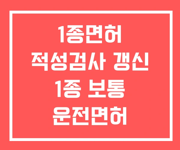 1종면허 적성검사 갱신 1종 보통 운전면허 1종면허 적성검사 갱신 1종 보통 운전면허