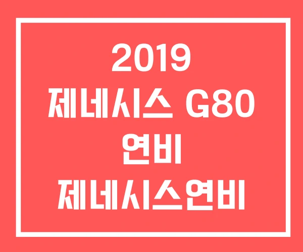2019 제네시스 G80 연비 제네시스연비 DH330
