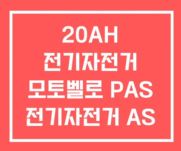 20AH 전기자전거 모토벨로 PAS 전기자전거 AS 20AH 전기자전거 모토벨로 PAS 전기자전거 AS
