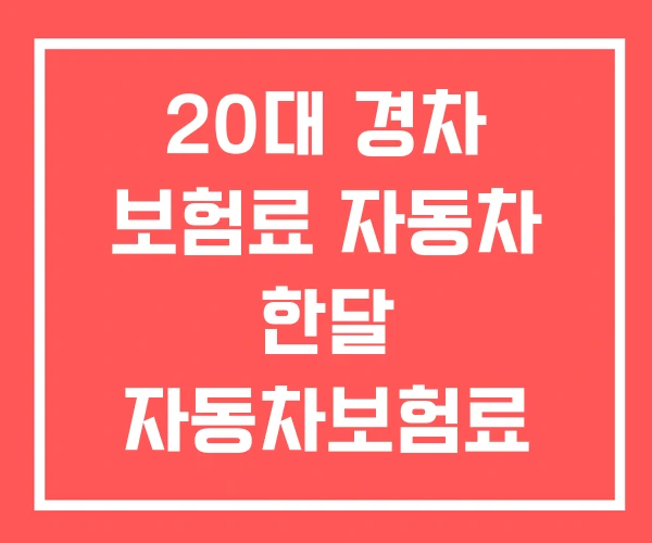 20대 경차 보험료 자동차 한달 자동차보험료 부모님
