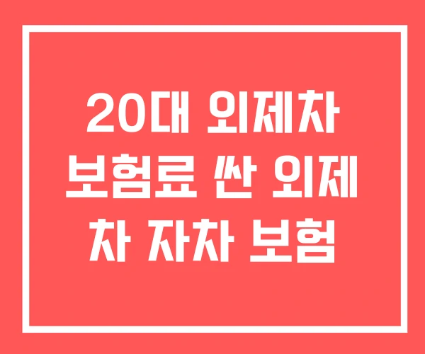 20대 외제차 보험료 싼 외제 차 자차 보험