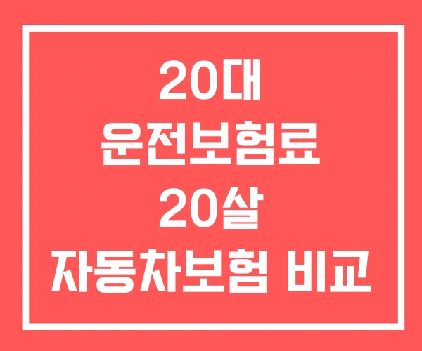 20대 운전보험료 20살 자동차보험 비교