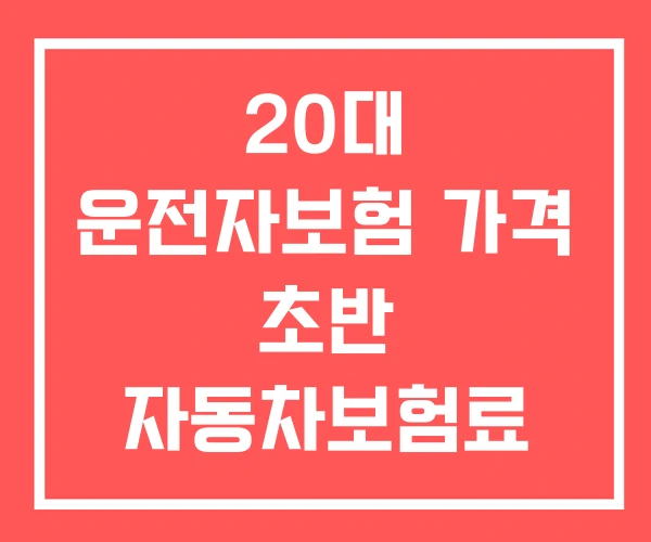 20대 운전자보험 가격 초반 자동차보험료 20대 추천