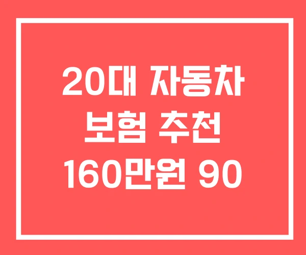 20대 자동차 보험 추천 160만원 90
