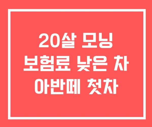 20살 모닝 보험료 낮은 차 아반떼 첫차 20살 모닝 보험료 낮은 차 아반떼 첫차