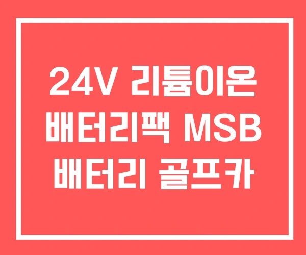 24V 리튬이온 배터리팩 MSB 배터리 골프카