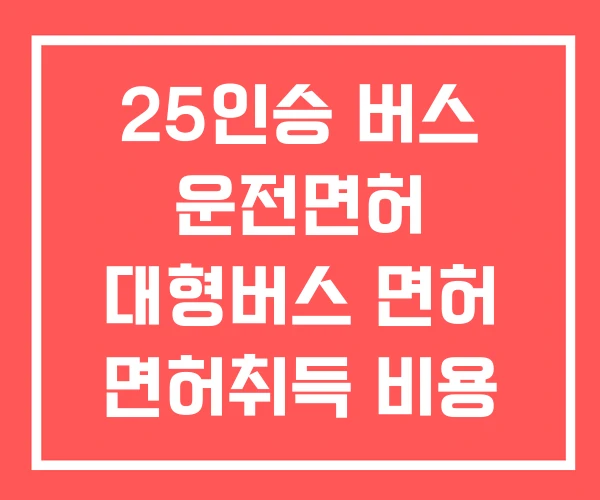 25인승 버스 운전면허 대형버스 면허 면허취득 비용