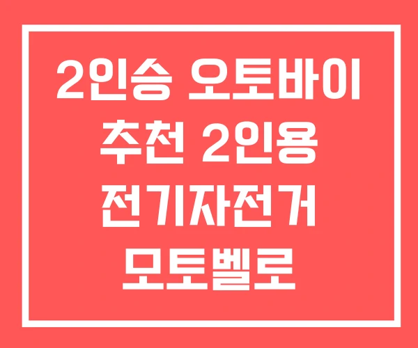 2인승 오토바이 추천 2인용 전기자전거 모토벨로