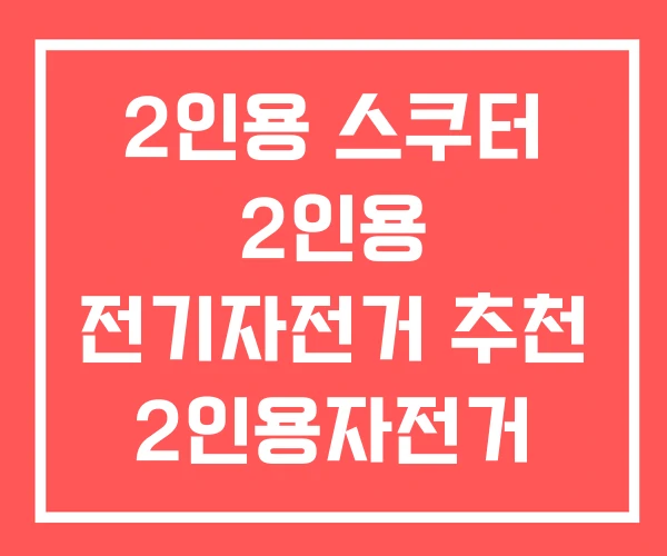 2인용 스쿠터 2인용 전기자전거 추천 2인용자전거