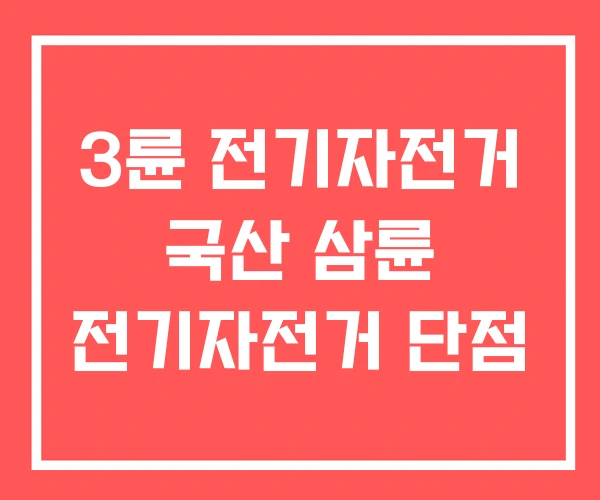3륜 전기자전거 국산 삼륜 전기자전거 단점 3륜 전기자전거 국산 삼륜 전기자전거 단점