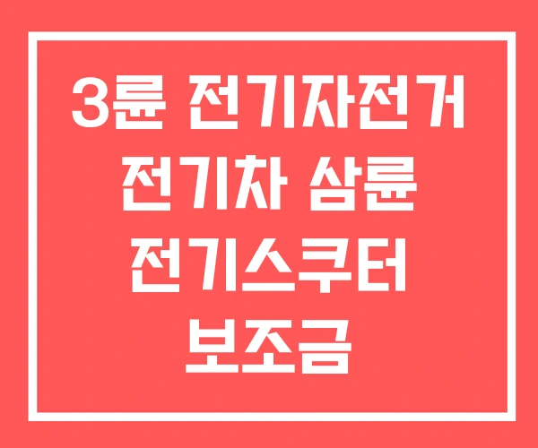 3륜 전기자전거 전기차 삼륜 전기스쿠터 보조금 3륜 전기자전거 전기차 삼륜 전기스쿠터 보조금