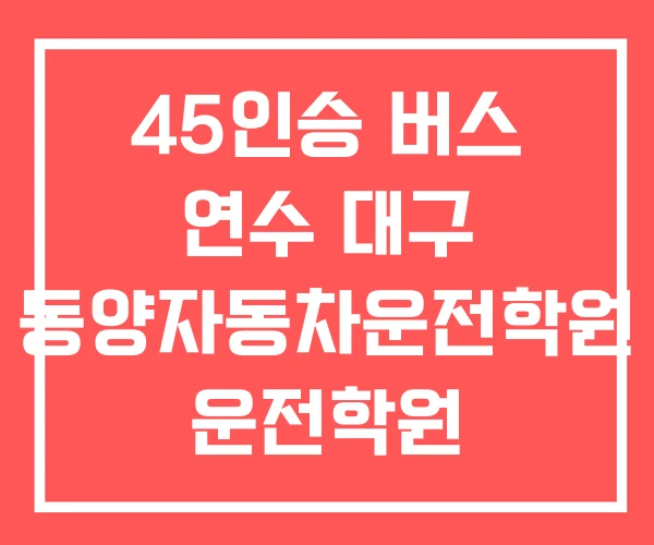 45인승 버스 연수 대구 동양자동차운전학원 운전학원