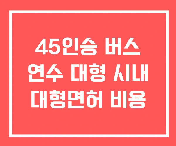 45인승 버스 연수 대형 시내 대형면허 비용
