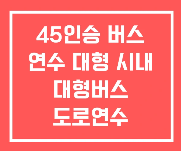 45인승 버스 연수 대형 시내 대형버스 도로연수
