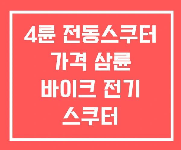 4륜 전동스쿠터 가격 삼륜 바이크 전기 스쿠터