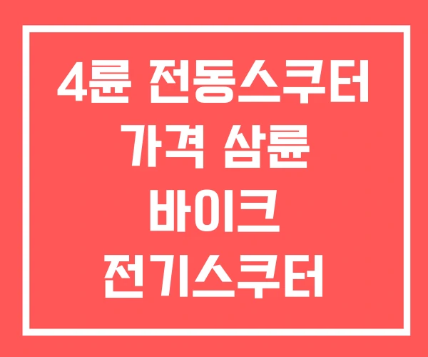 4륜 전동스쿠터 가격 삼륜 바이크 전기스쿠터 보조금 4륜 전동스쿠터 가격 삼륜 바이크 전기스쿠터 보조금
