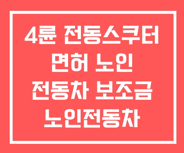 4륜 전동스쿠터 면허 노인 전동차 보조금 노인전동차