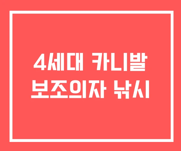 4세대 카니발 보조의자 낚시 4세대 카니발 보조의자 낚시