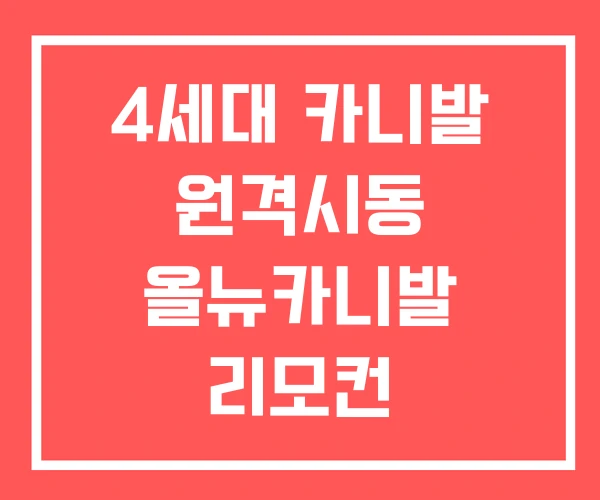 4세대 카니발 원격시동 올뉴카니발 리모컨 4세대 카니발 원격시동 올뉴카니발 리모컨