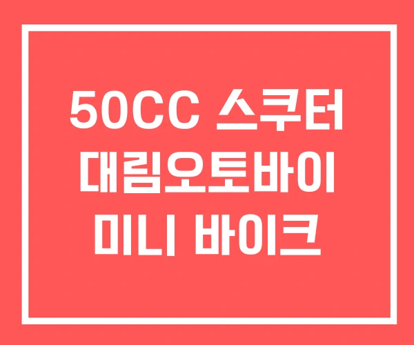 50CC 스쿠터 대림오토바이 미니 바이크