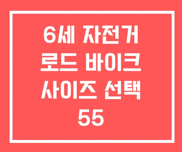 6세 자전거 로드 바이크 사이즈 선택 55
