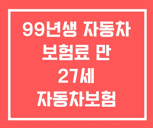 99년생 자동차 보험료 만 27세 자동차보험 110만원