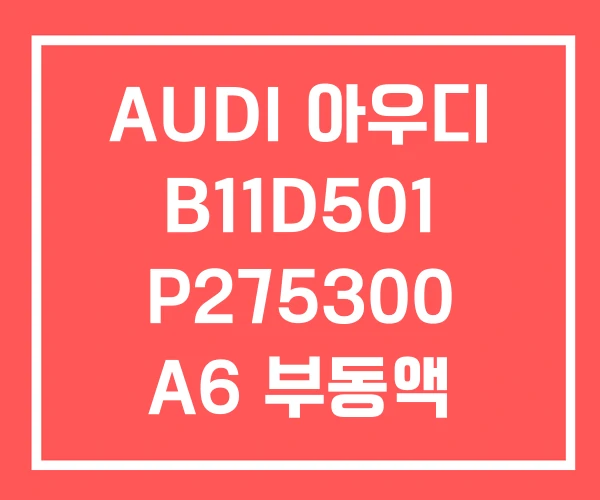 AUDI 아우디 B11D501 P275300 A6 부동액 AUDI 아우디 B11D501 P275300 A6 부동액