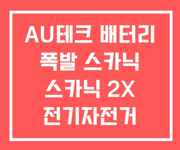 AU테크 배터리 폭발 스카닉 스카닉 2X 전기자전거