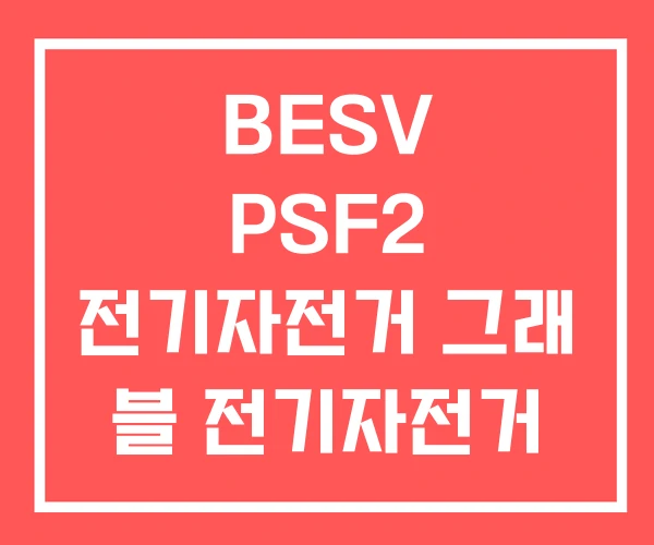 BESV PSF2 전기자전거 그래 블 전기자전거