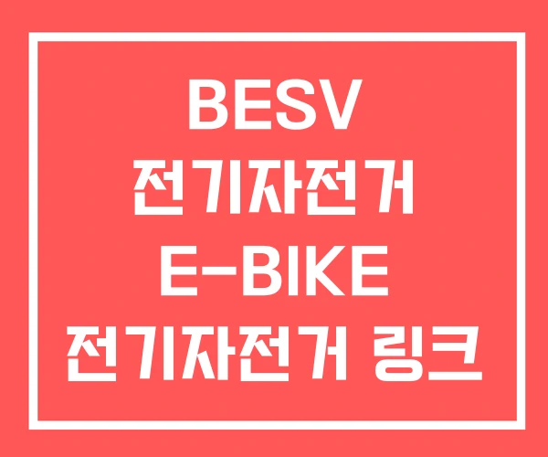 BESV 전기자전거 E-BIKE 전기자전거 링크 유 BESV 전기자전거 E-BIKE 전기자전거 링크 유