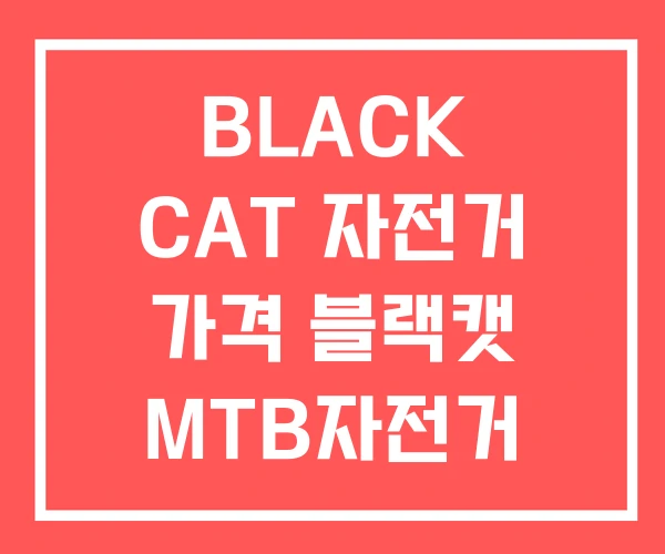 BLACK CAT 자전거 가격 블랙캣 MTB자전거 사이트 BLACK CAT 자전거 가격 블랙캣 MTB자전거 사이트