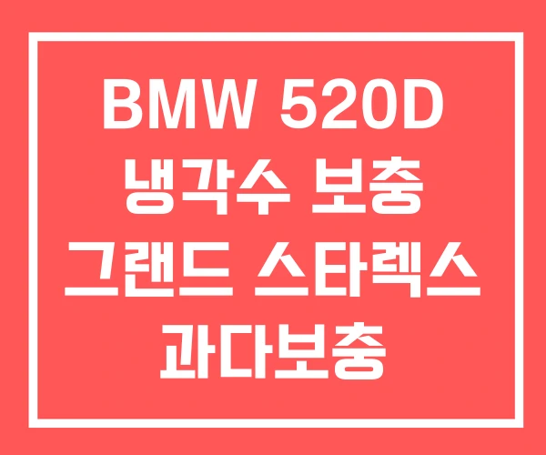 BMW 520D 냉각수 보충 그랜드 스타렉스 과다보충