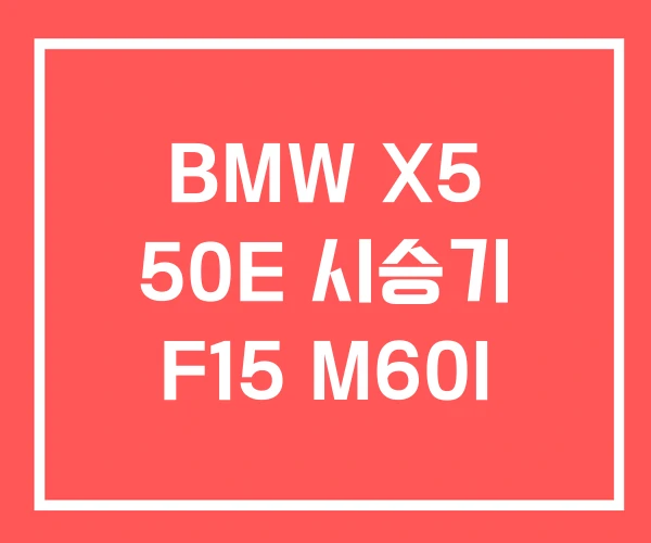 BMW X5 50E 시승기 F15 M60I