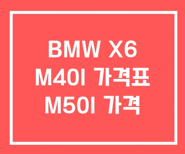 BMW X6 M40I 가격표 M50I 가격 BMW X6 M40I 가격표 M50I 가격
