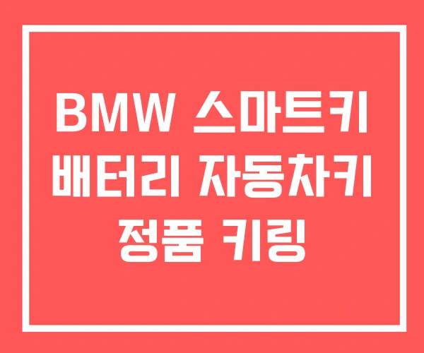 BMW 스마트키 배터리 자동차키 정품 키링