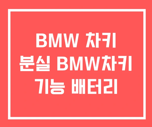 BMW 차키 분실 BMW차키 기능 배터리 BMW 차키 분실 BMW차키 기능 배터리