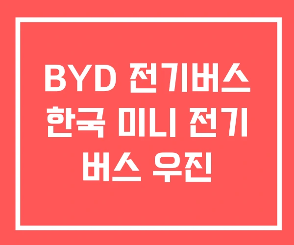 BYD 전기버스 한국 미니 전기 버스 우진
