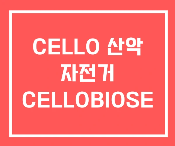 CELLO 산악 자전거 CELLOBIOSE