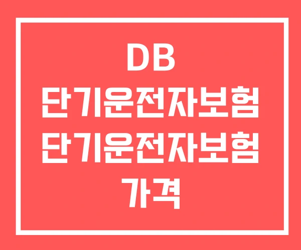 DB 단기운전자보험 단기운전자보험 가격