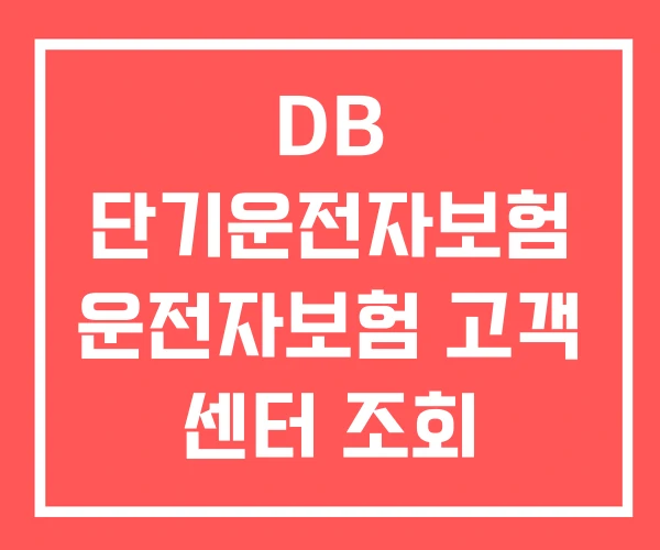 DB 단기운전자보험 운전자보험 고객 센터 조회