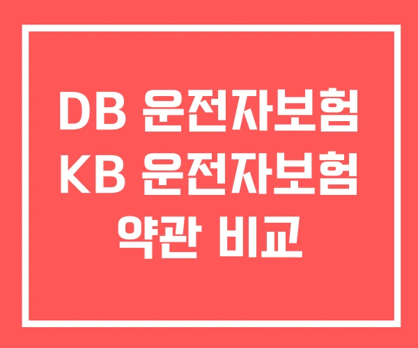 DB 운전자보험 KB 운전자보험 약관 비교 DB 운전자보험 KB 운전자보험 약관 비교