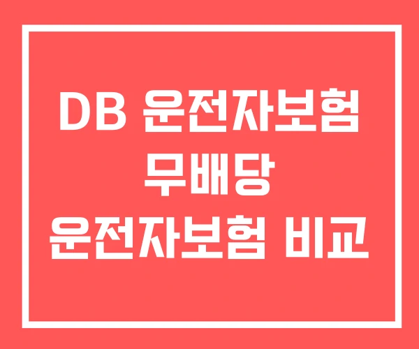 DB 운전자보험 무배당 운전자보험 비교