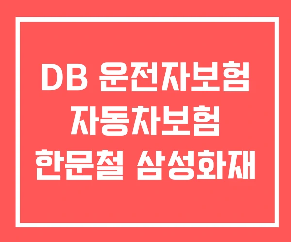 DB 운전자보험 자동차보험 한문철 삼성화재 DB 운전자보험 자동차보험 한문철 삼성화재