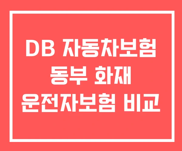 DB 자동차보험 동부 화재 운전자보험 비교