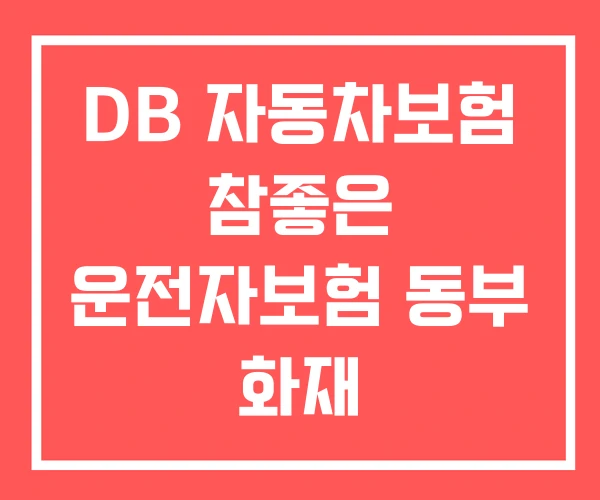 DB 자동차보험 참좋은 운전자보험 동부 화재