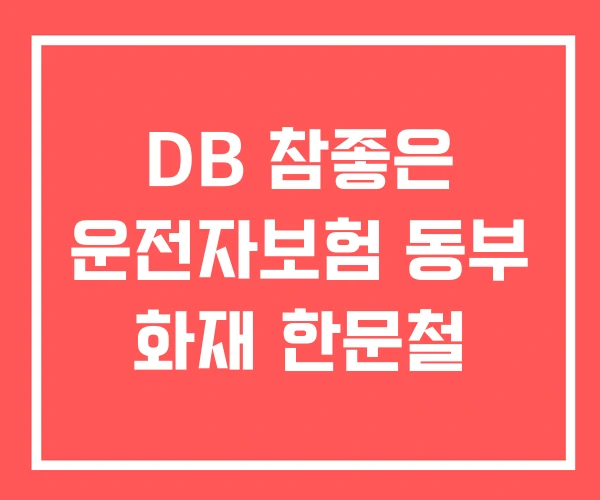 DB 참좋은 운전자보험 동부 화재 한문철