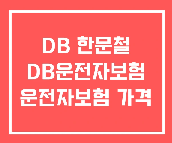 DB 한문철 DB운전자보험 운전자보험 가격