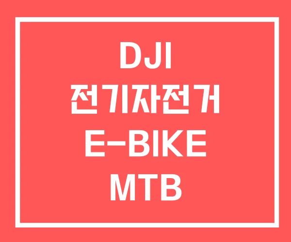 DJI 전기자전거 E-BIKE MTB 전기자전거 추천
