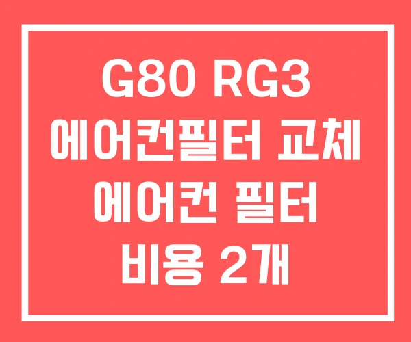 G80 RG3 에어컨필터 교체 에어컨 필터 비용 2개 G80 RG3 에어컨필터 교체 에어컨 필터 비용 2개