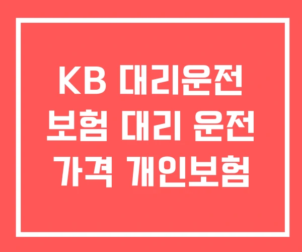 KB 대리운전 보험 대리 운전 가격 개인보험